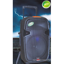 Top Selling Bluetooth Battery FM Troelly Speaker F413